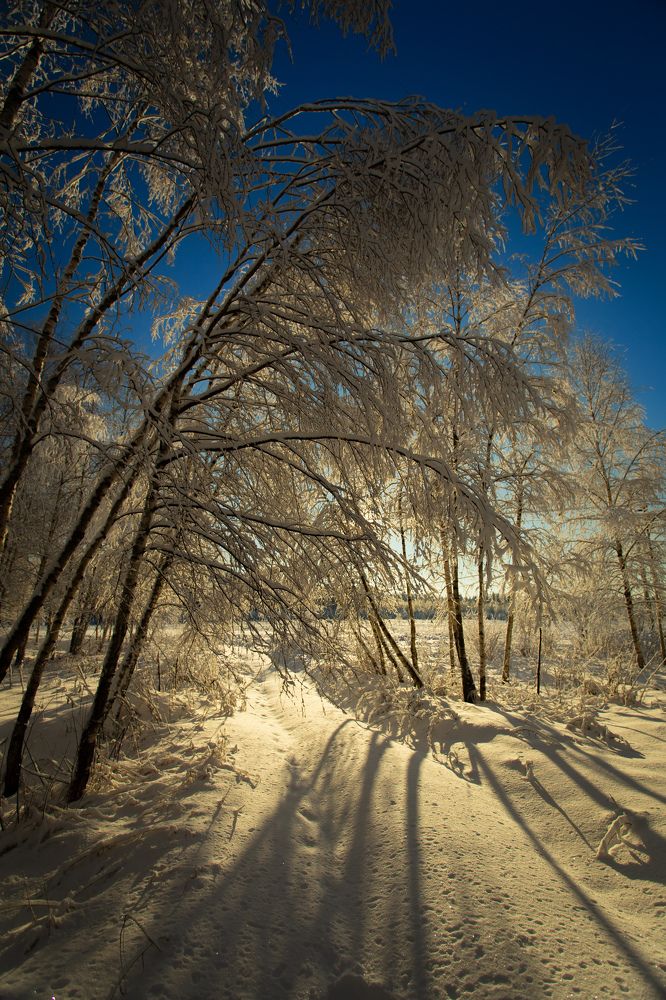 Фотография автора Виталий Зейфер