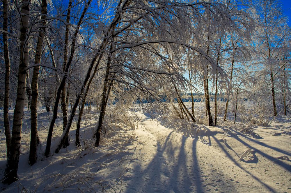 Фотография автора Виталий Зейфер