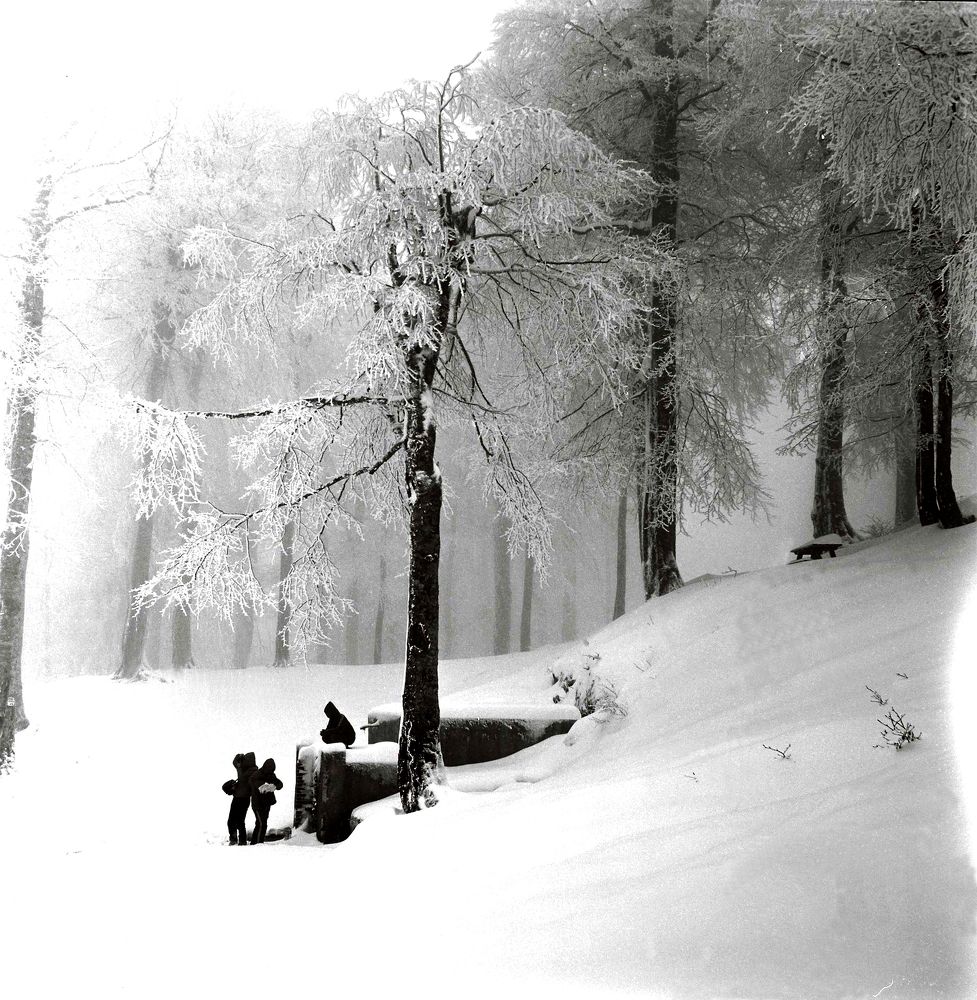 Photograph by Muzaffer Sütlüoğlu