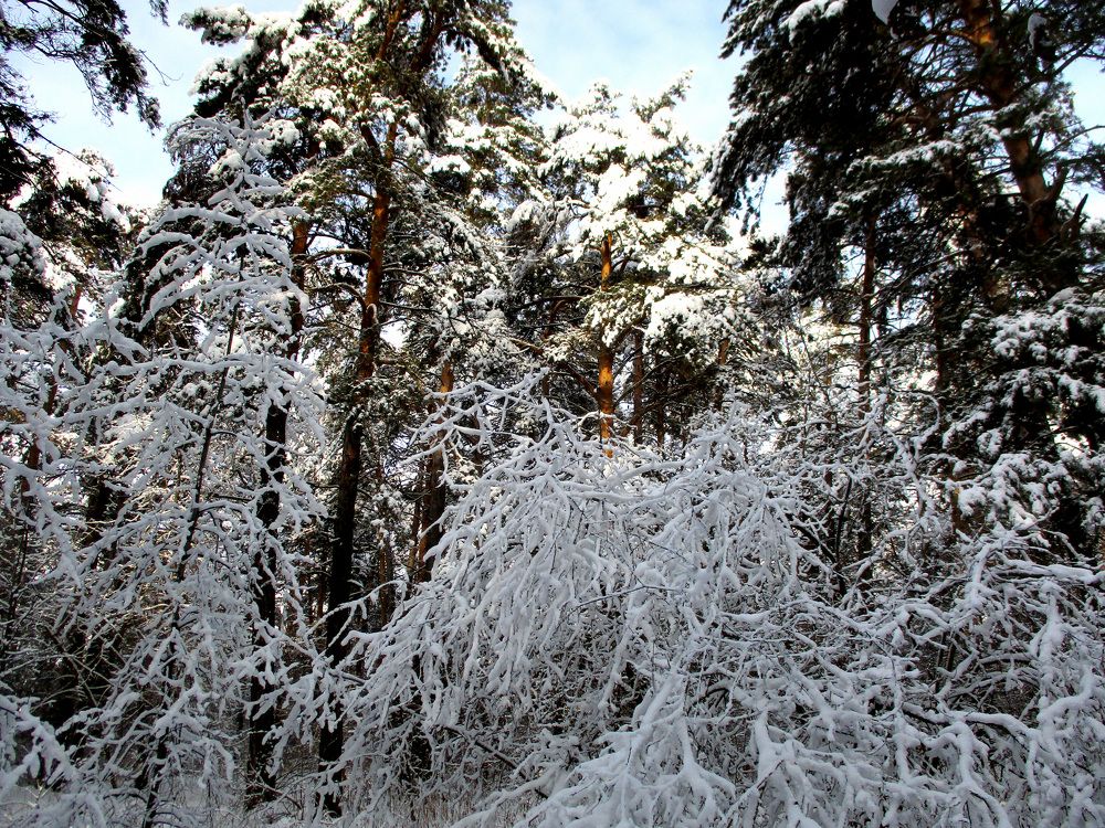 Photograph by Анастасия Старикова