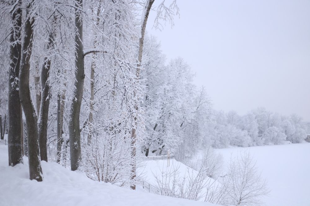 Photograph by Ася Радченко