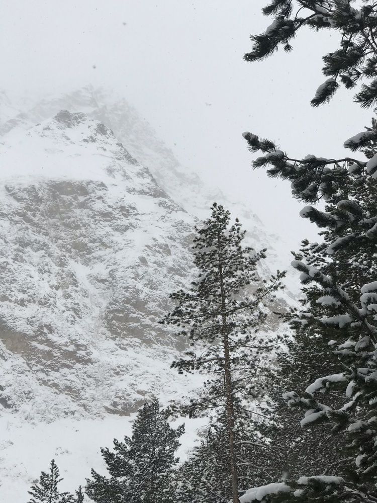 Photograph by Juli-sunny