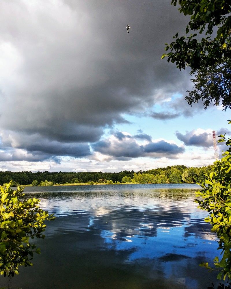 Photograph by Elena Lukashina