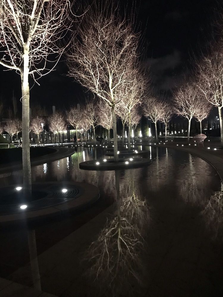 Photograph by Juli-sunny