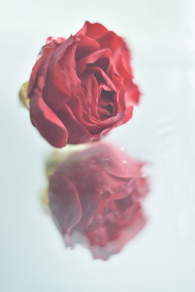 Фотография автора Анастасия Руднева