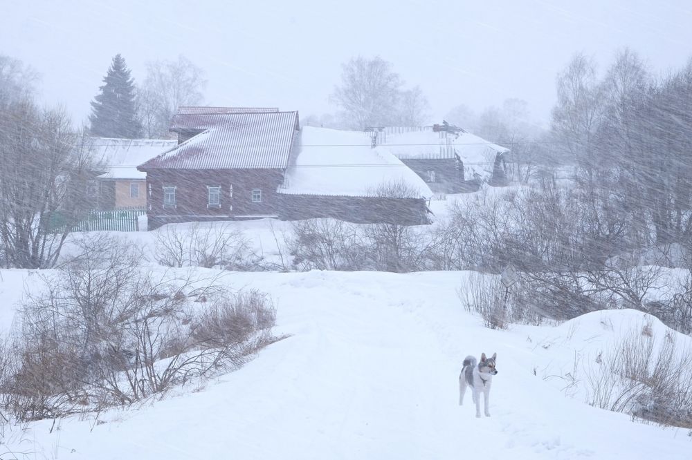 Вьюга злится