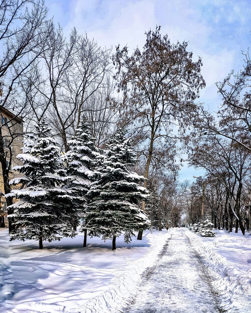 Photograph by Светлана Смирнова