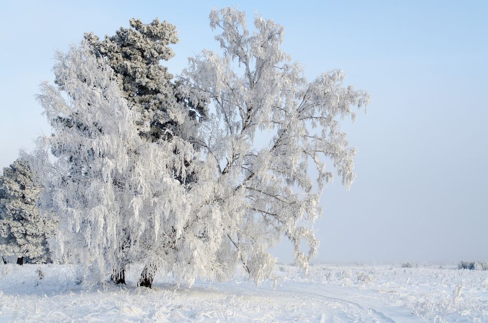 Photograph by Вадим Басов