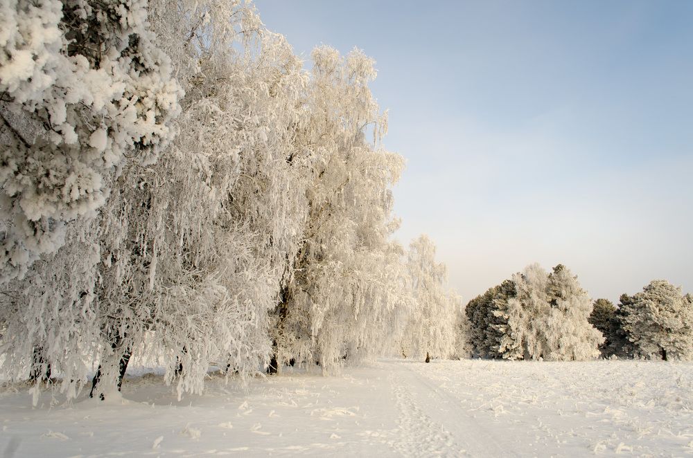 Photograph by Вадим Басов