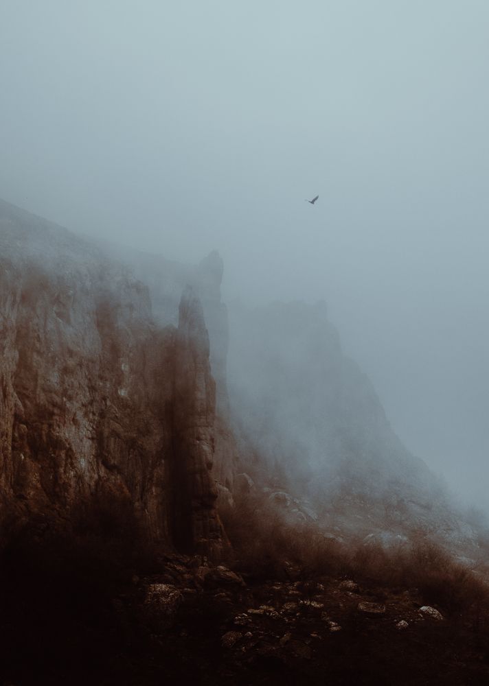 Застывшие и пролетающие