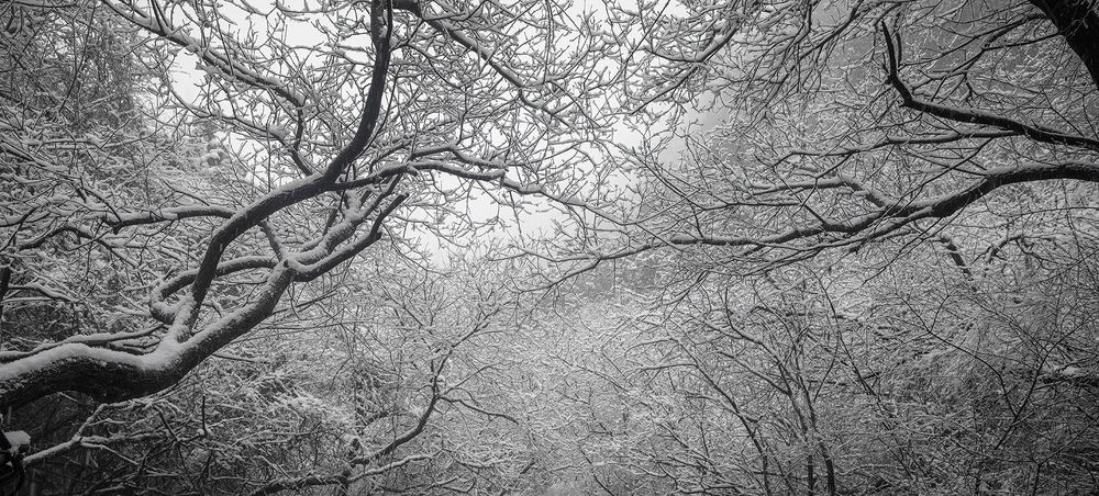 Photograph by 喻 子俊