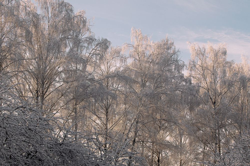 Photograph by Любовь Головина