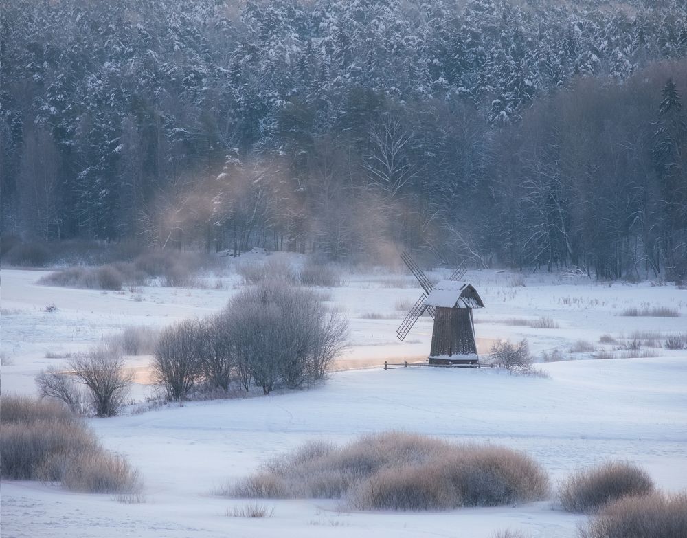Photograph by Светлана Краюшкина