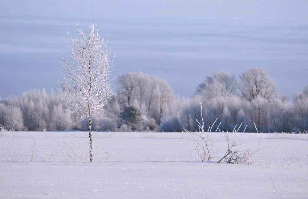 Photograph by Юрий Яковлев