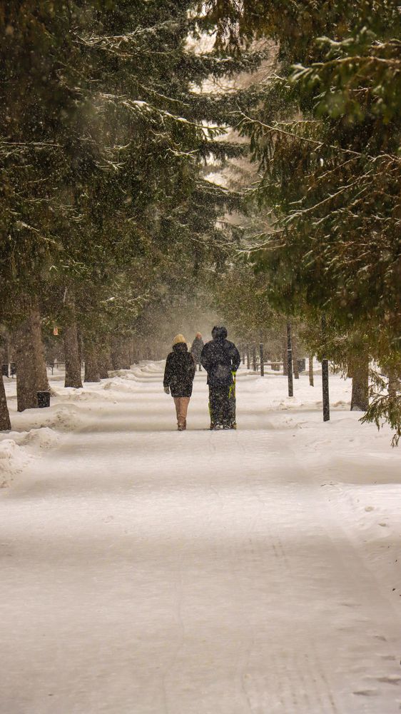 Photograph by Денис Бочаров