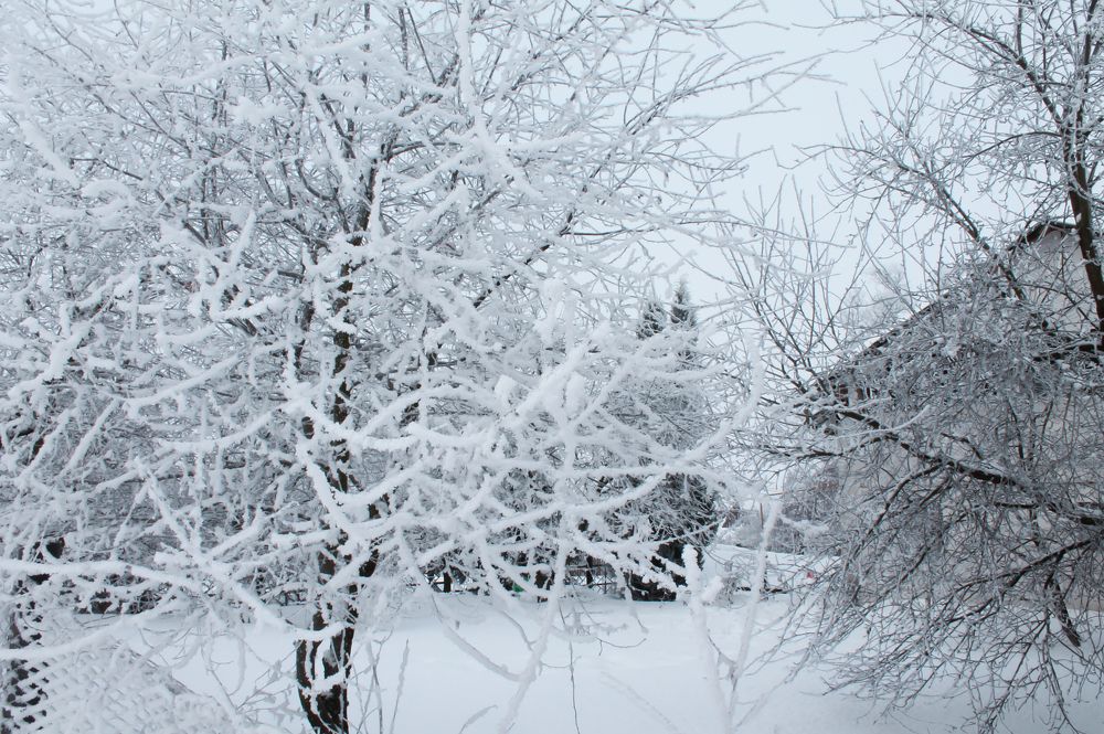 Photograph by Дарья Ващенко-Панкина
