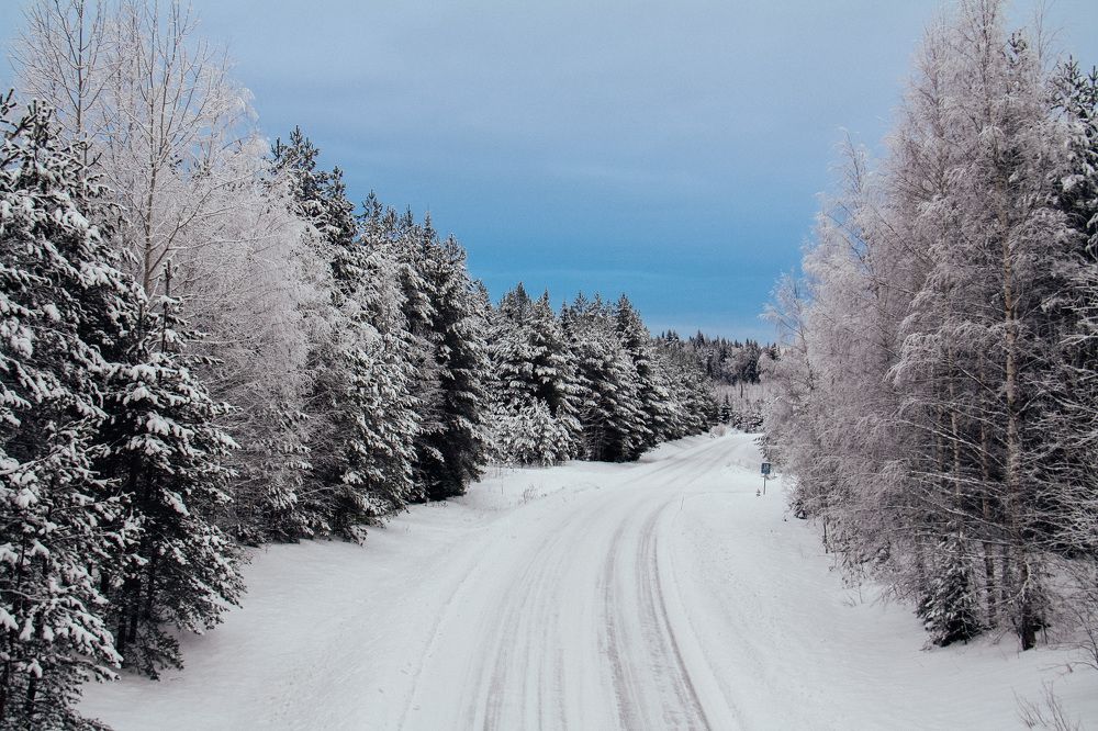 Photograph by Мария Королькова