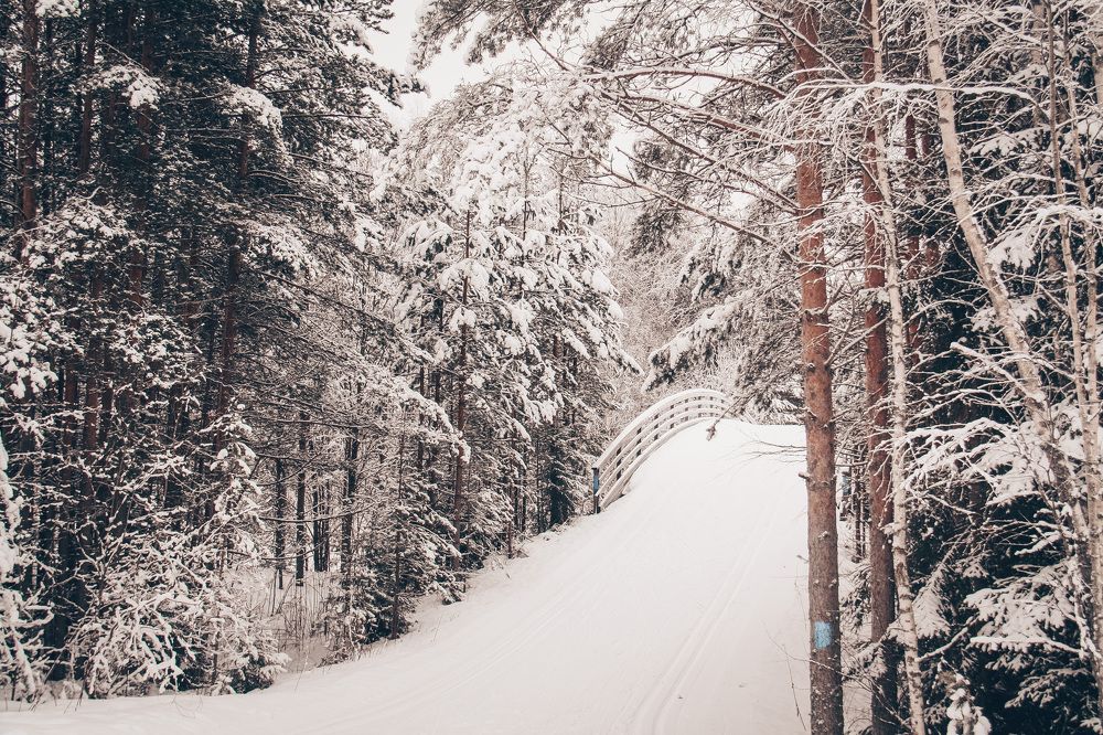 Мост в снежном лесу