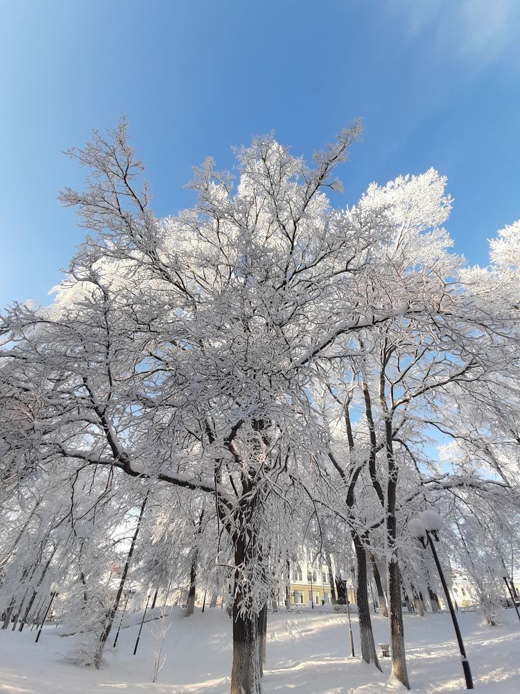 Photograph by Алексей