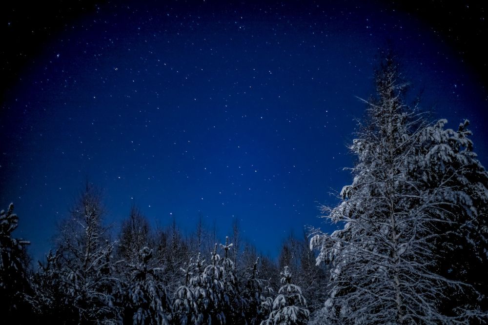 Photograph by Паша Савельев