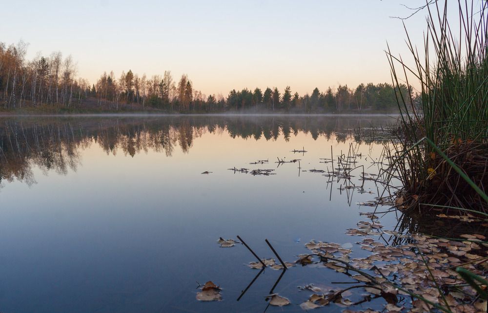 Photograph by Любовь Головина