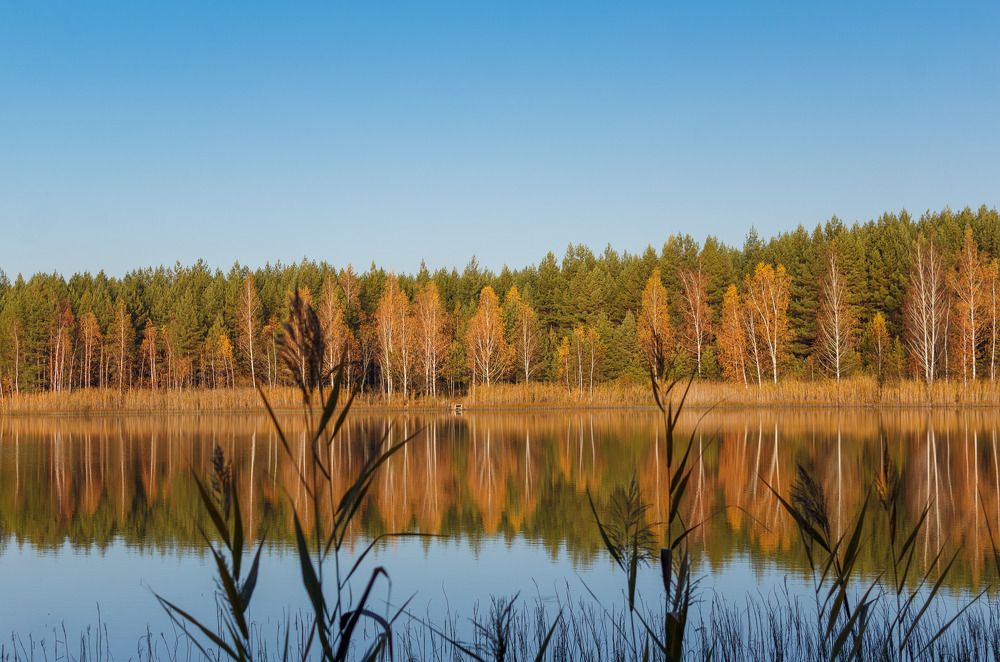 Photograph by Любовь Головина