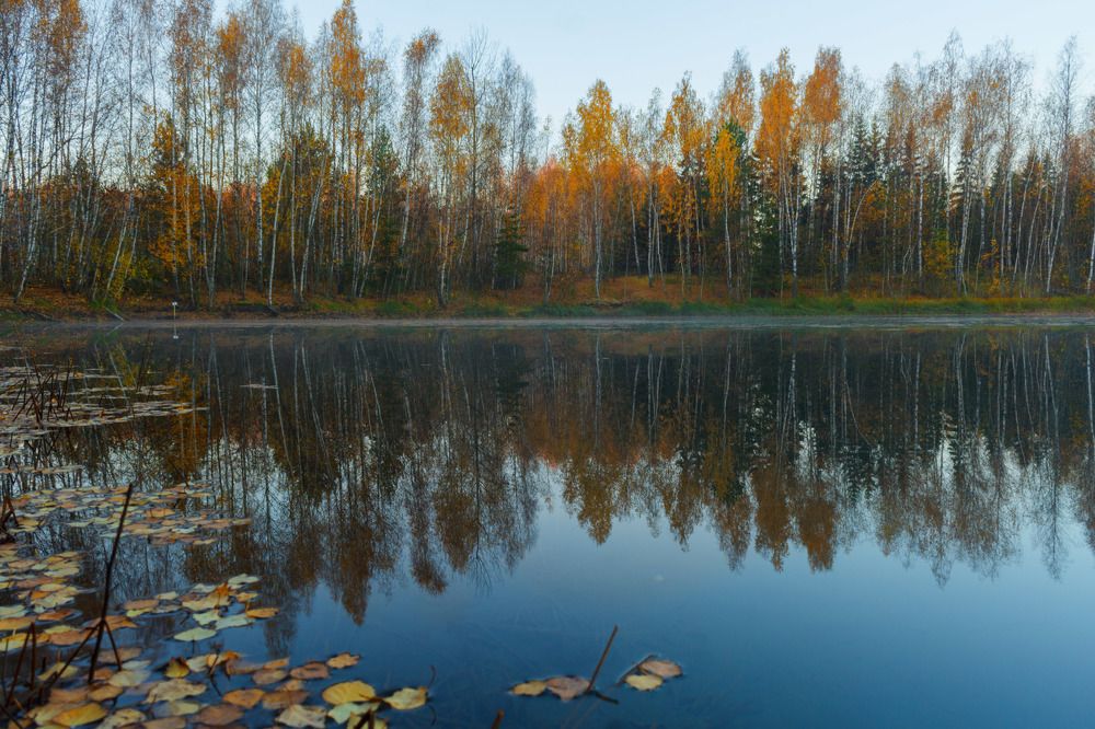 Photograph by Любовь Головина