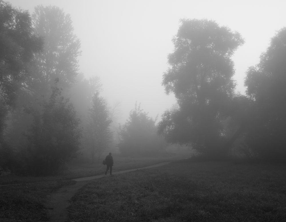 Туманное утро