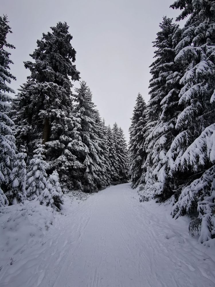 Photograph by Михаил Жарский