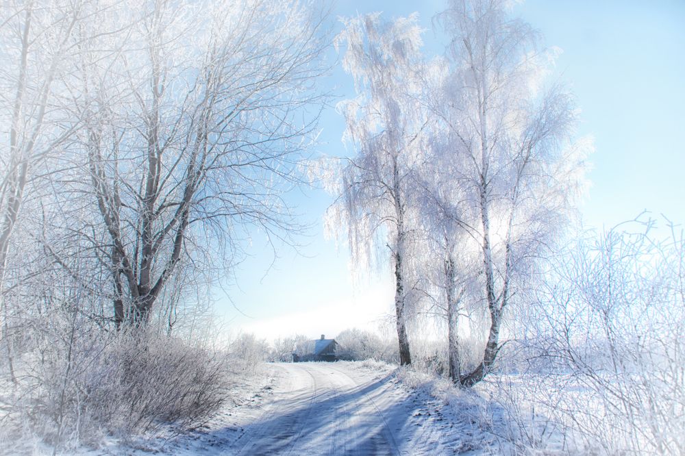 Фотография автора Юлия Кранина