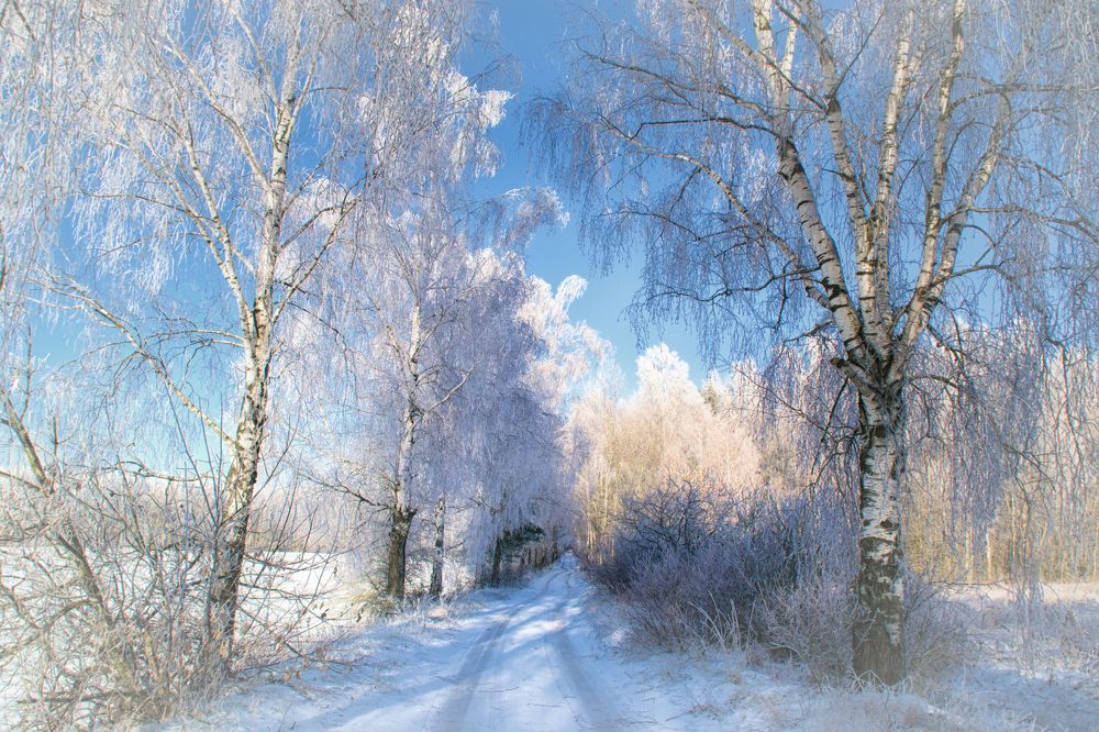 Фотография автора Юлия Кранина