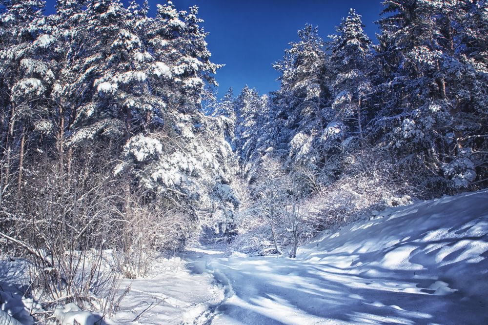 Фотография автора Юлия Кранина