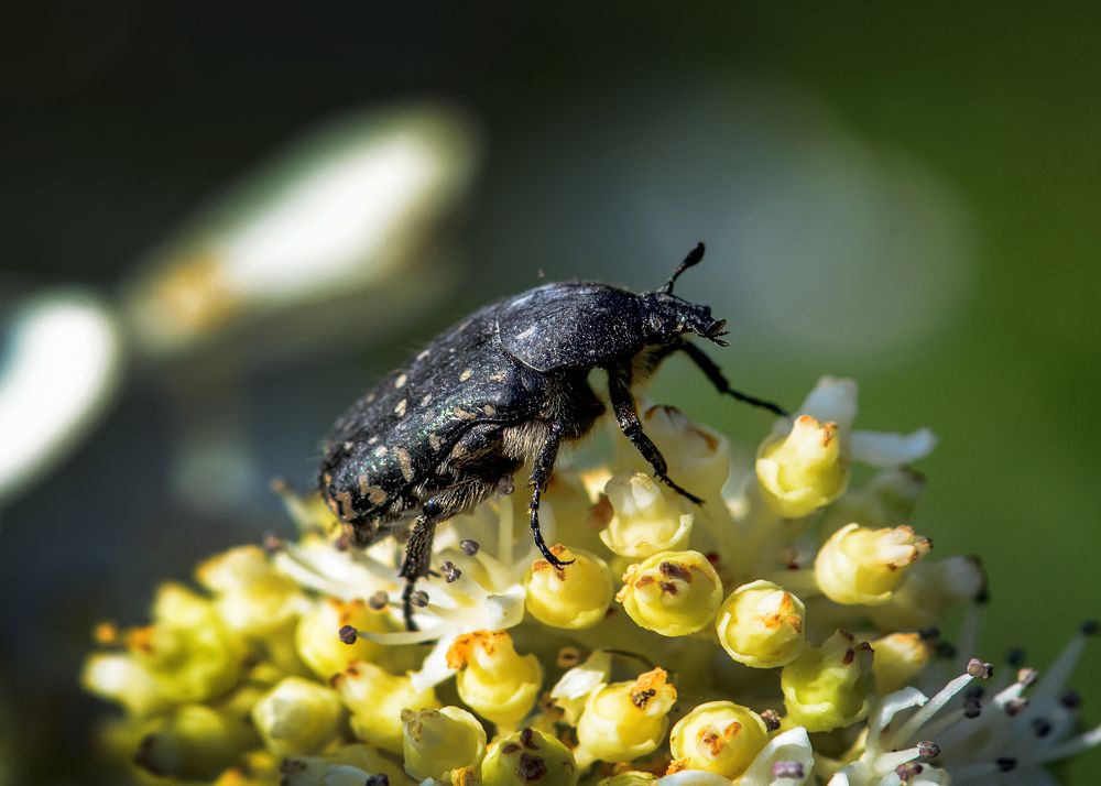 Команда на старт