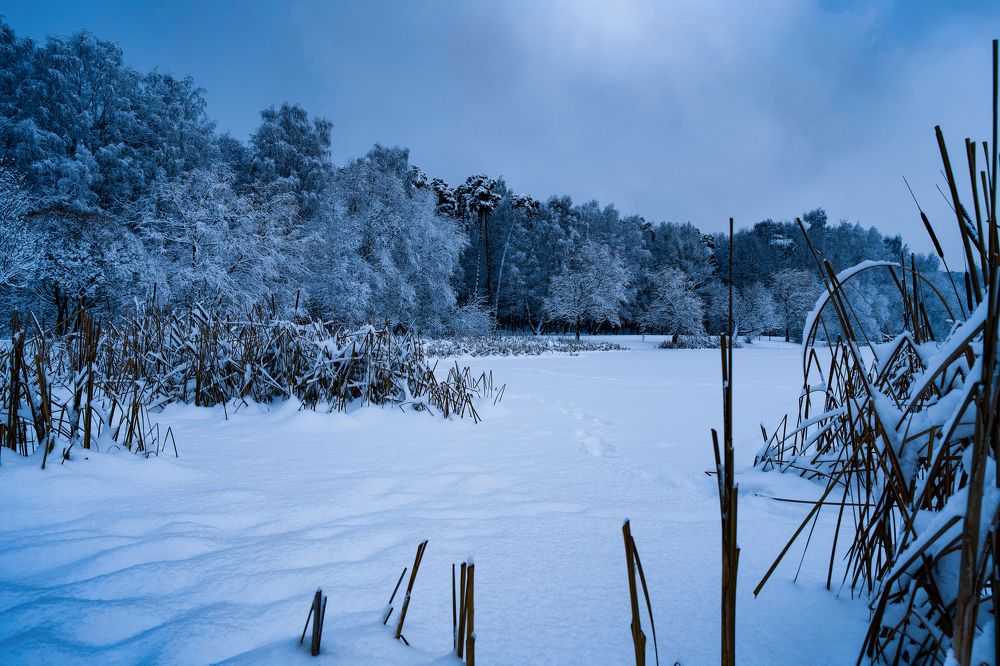 Photograph by Алексей Шевченко