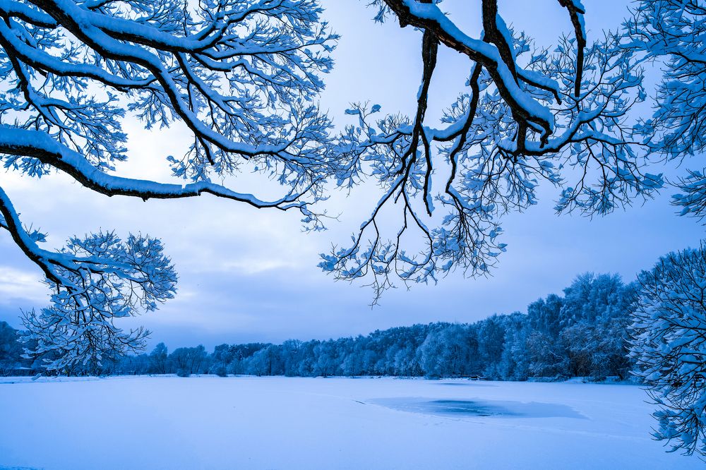 Photograph by Алексей Шевченко