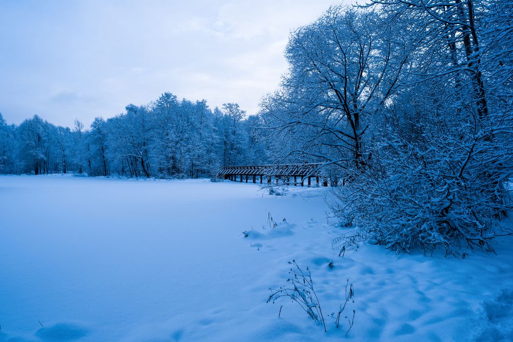 Photograph by Алексей Шевченко