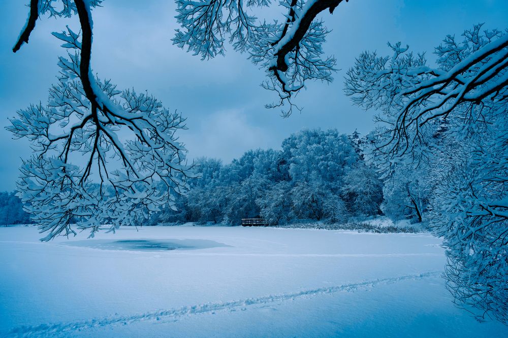 Photograph by Алексей Шевченко