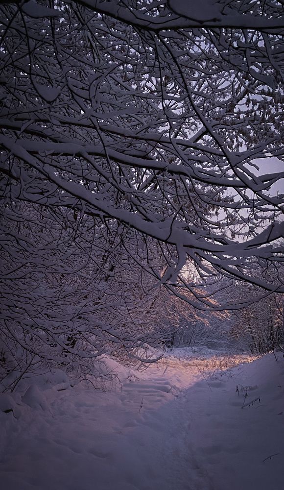 Photograph by Мария Сазонова