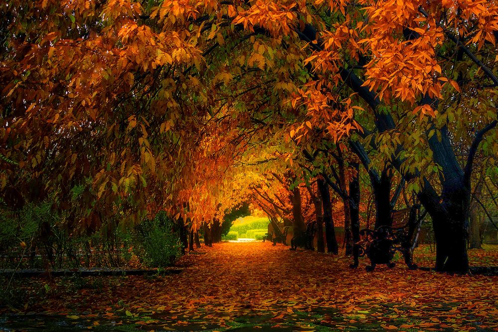 Photograph by somayeh moharami