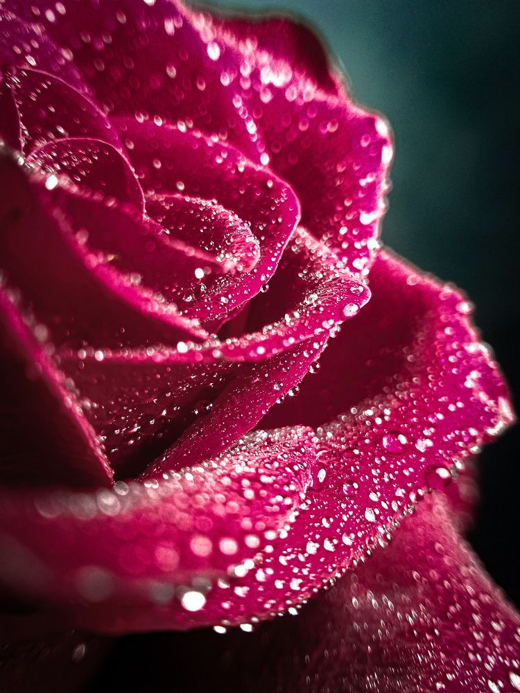 Photograph by Наташа Черепенина