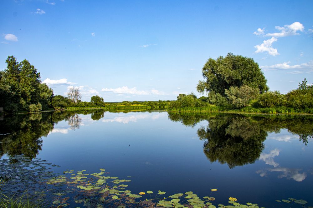 Фотография автора Novoseltsev Konstantin