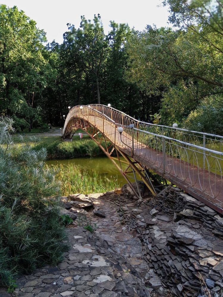 Photograph by Татьяна Пальчикова