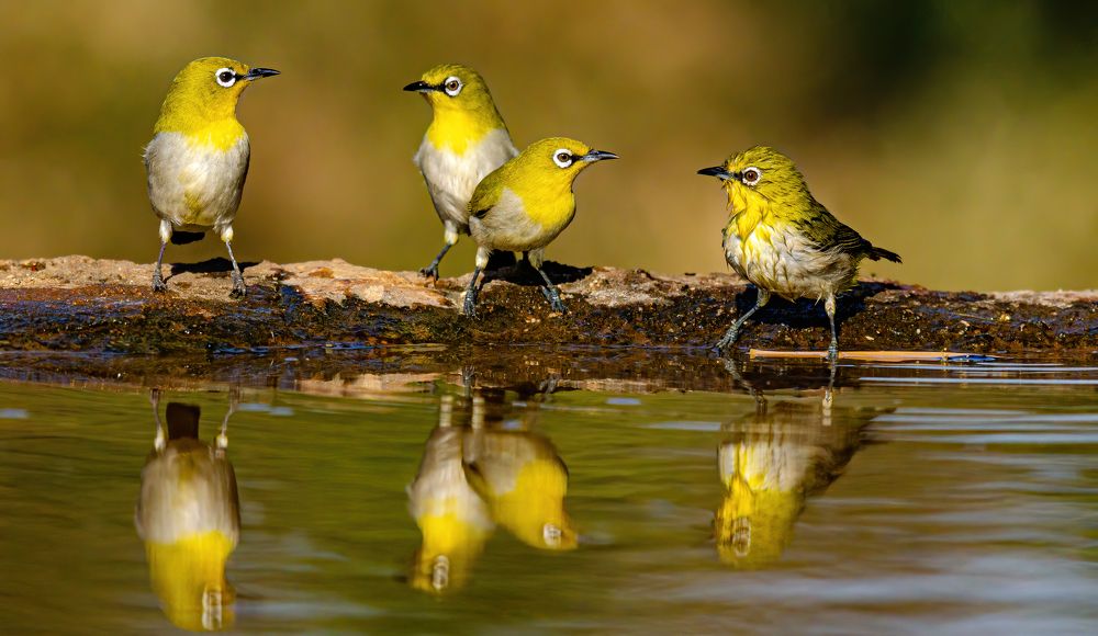 Photograph by Dipanjan Nath