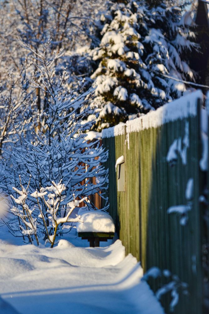 Photograph by Дарья Маркина