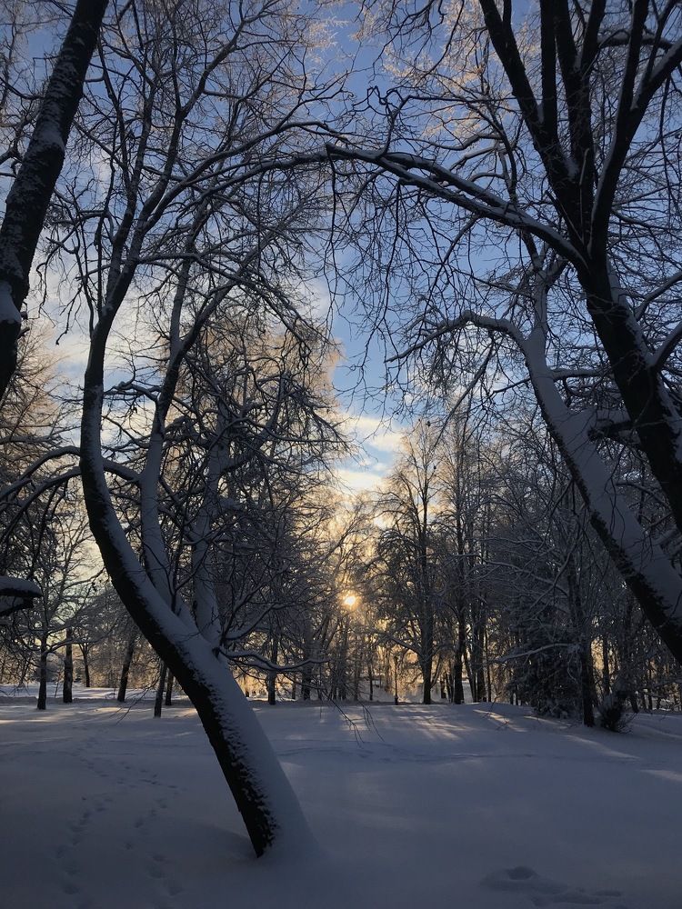 Photograph by Любовь М.