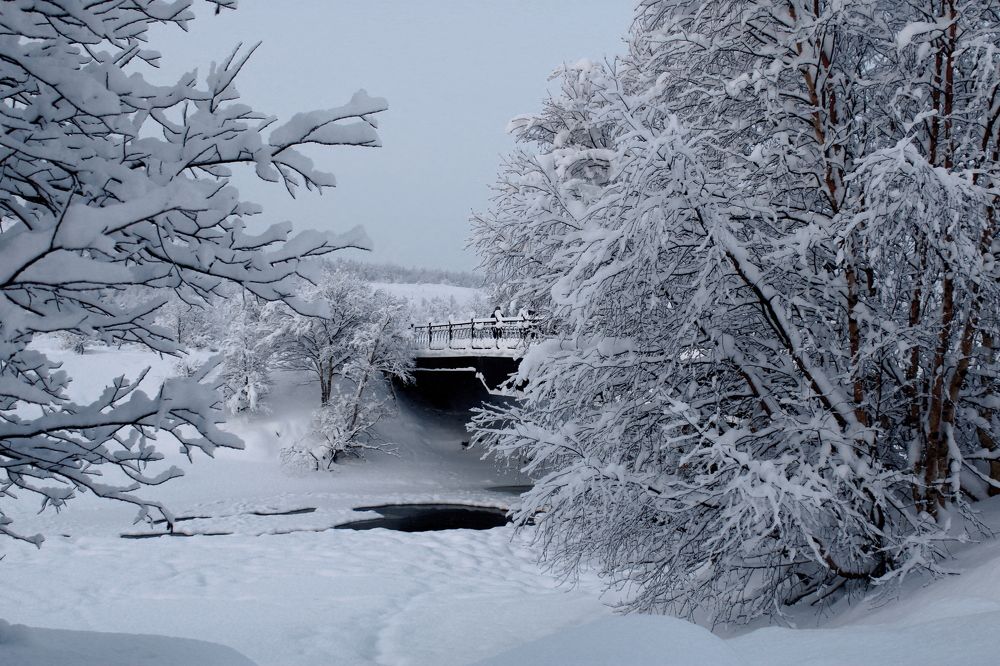 Photograph by Ирина Чечкина