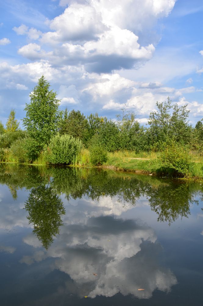 Photograph by Дмитрий Петров