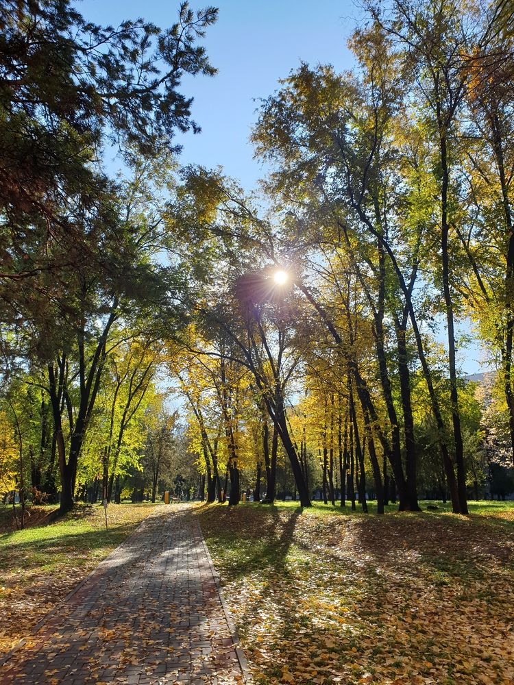 Photograph by Гайша Калиева