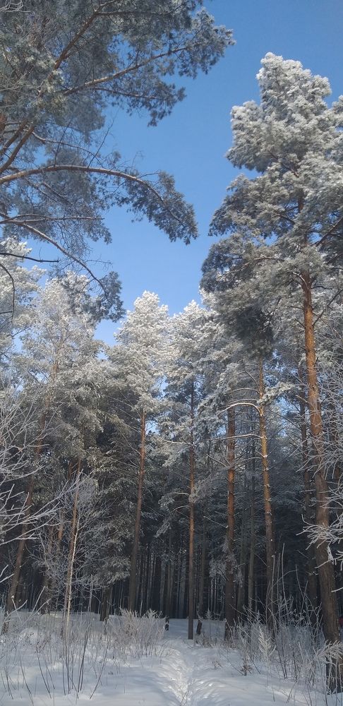 Photograph by Лейсан