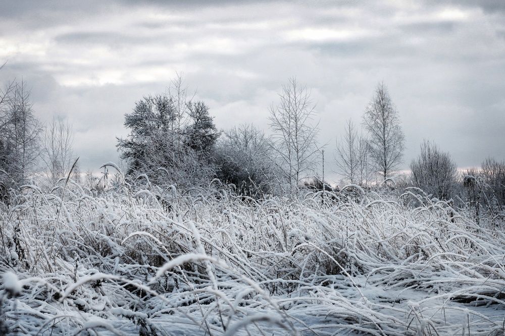 Зимнее безмолвие
